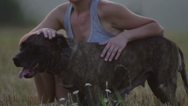 Jonge vrouw met hond in de natuur. Meisje lopen een terriër in een veld. — Stockvideo