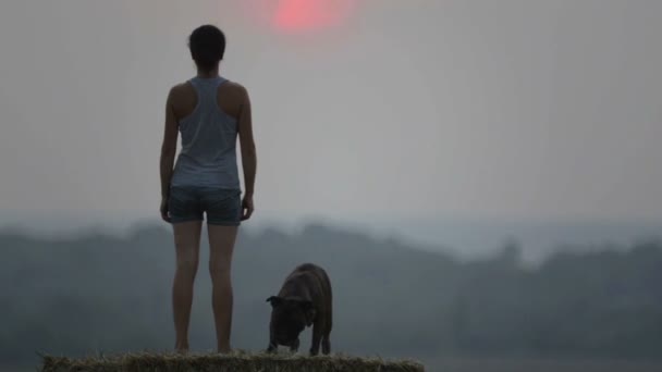 Mujer con terrier en un campo al atardecer. Silueta de una joven con un perro en el pesebre . — Vídeo de stock