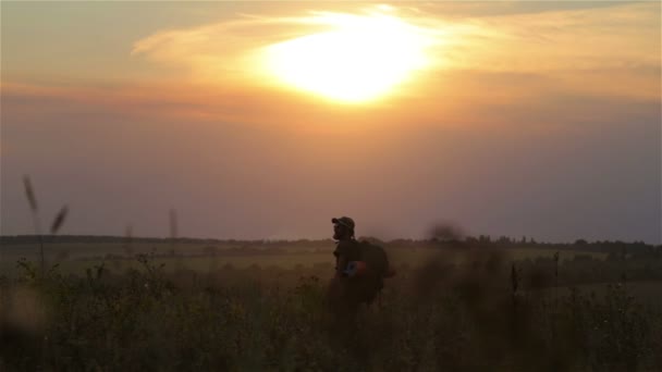 A tourist with a backpack and a camera at sunset in the field. Bearded man traveler makes selfie at sunset. — Stock Video