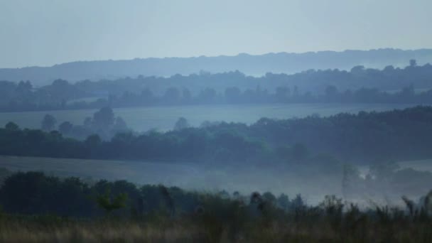 Vista del campo nella nebbia e fumo. Paesaggio rurale, potrebbe sui campi . — Video Stock