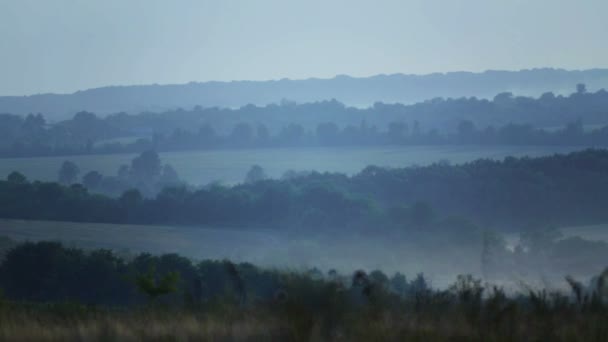 Vue sur le champ dans le brouillard et la fumée. Paysage rural, pourrait sur les champs . 