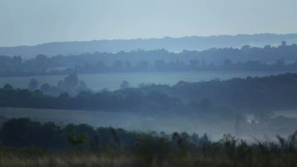 Вид на поле в тумані і дим. Сільський пейзаж, міг би над полем . — стокове відео