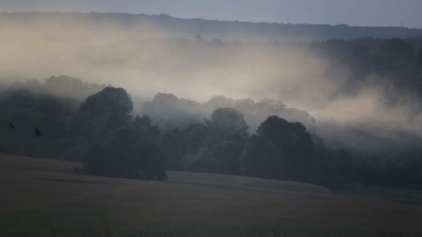 Vista del campo nella nebbia e fumo. Paesaggio rurale, potrebbe sui campi . — Video Stock