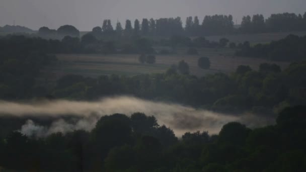 Weergave van het veld in de mist en rook. Landschap, kon over de velden. — Stockvideo