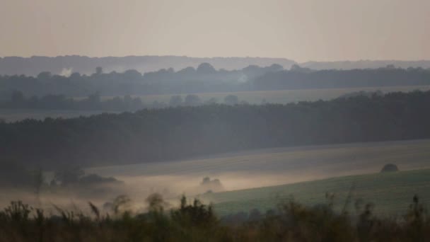 Вид на поле в тумані і дим. Сільський пейзаж, міг би над полем . — стокове відео
