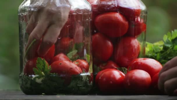 Preparação para os tomates salgados. Composição de tomates. Mão coloca os tomates em um frasco . — Vídeo de Stock