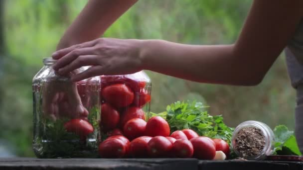 Preparazione per i pomodori salati. Composizione di pomodori. Mano mette i pomodori in un barattolo . — Video Stock