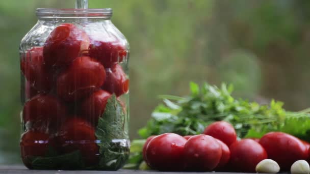 Förbereder för saltade tomater. Sammansättningen av tomater. Hand sätter tomaterna i en burk. — Stockvideo