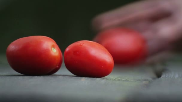 La composición de tomates rojos en la mesa. Tomates maduros sobre fondo de madera . — Vídeos de Stock