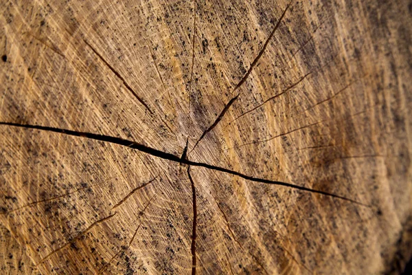 Textura Starého Dřeva Desky — Stock fotografie