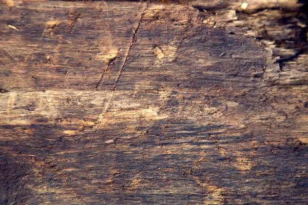 Tekstura Starego Drewna Desek — Zdjęcie stockowe