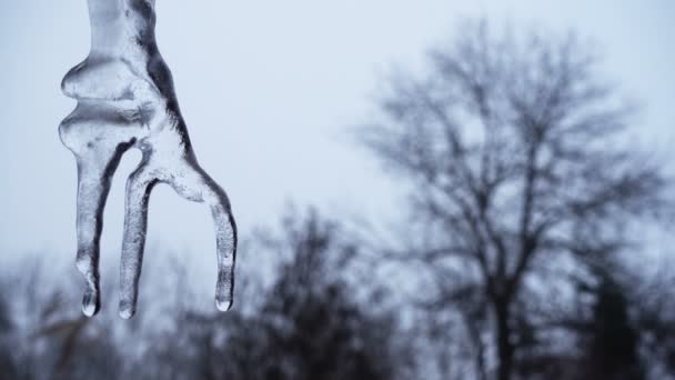 Set Video Clips Melting Icicle — Stock Video