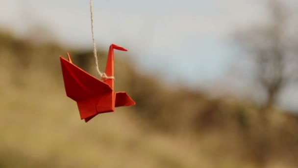 Guindaste Origami Mão Vento Filmagem Vídeo Set — Vídeo de Stock