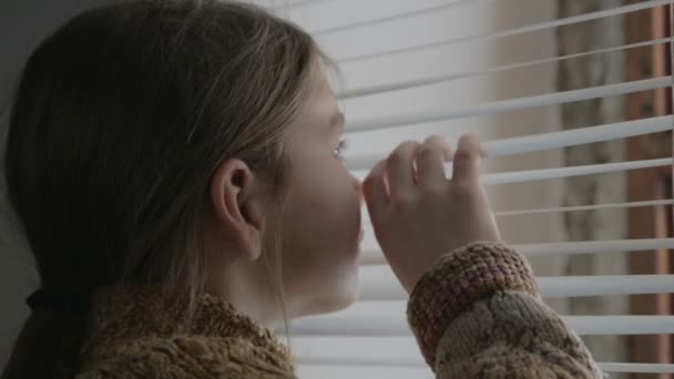 Porträtt Pojke Fönstret Hemma Isolerad Uppsättning Videoklipp — Stockvideo