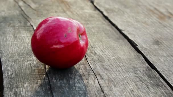 Red Apple Falls Rolls Wooden Table Video Footage Set — Stock Video