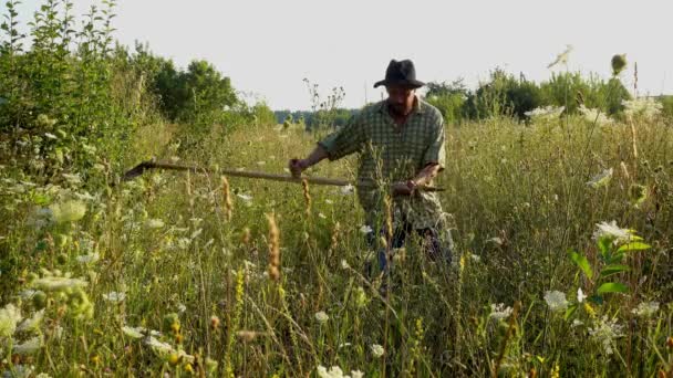 Man Mows Grass Hand Scythe — Stock Video