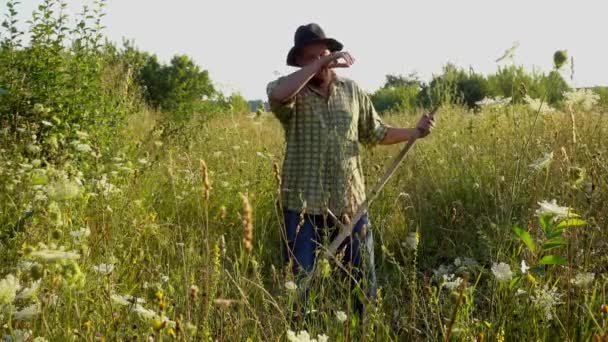 Man Mows Grass Hand Scythe — Stock Video