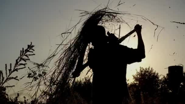 Man Mows Grass Hand Scythe Silhouette — Stock Video