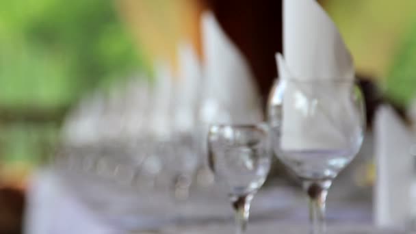 Beautifully served festive table.Served banquet table.Buffet served in the restaurant.Moving sharpness. — Stock Video