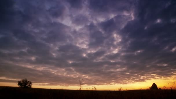 Céu da manhã com nuvens correndo. Nuvens correndo ao nascer do sol. Nuvens correndo bonitas e nascer do sol. Céu com nuvens . — Vídeo de Stock