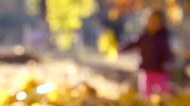 Sonbahar parkta oynayan küçük çocuk. Sarı ile oynayan bebek bırakır. Sonbahar park açık havada, küçük kız. Sonbahar Park bebek portresi.