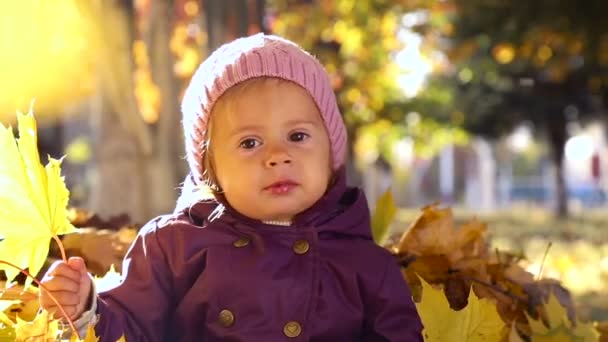 Malé dítě hraje v podzimním parku. Dítě hraje se žlutými listy. Malá holčička v podzimním parku. Portrét dítěte v podzimním parku. — Stock video