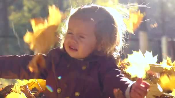 Маленький ребенок, играющий осенью. Младенец, играющий с желтыми рыльцами. . — стоковое видео