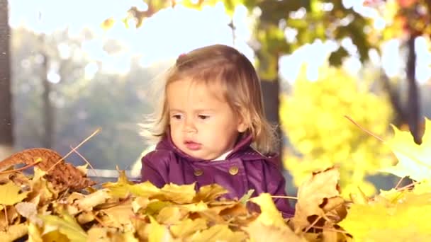 Bambino piccolo che gioca nel parco autunnale. Bambino che gioca con foglie gialle. Bambina all'aperto nel parco autunnale. Ritratto di bambino nel parco autunnale . — Video Stock