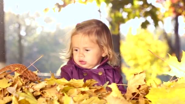 Criança pequena brincando no parque de Outono.Bebê brincando com folhas amarelas.Menina ao ar livre no parque de Outono.Retrato de um bebê no parque de outono . — Vídeo de Stock