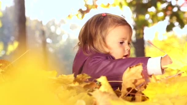 Klein kind spelen in herfst park. Baby spelen met geel verlaat. Meisje buiten in de herfst park. Portret van een baby in herfst park. — Stockvideo