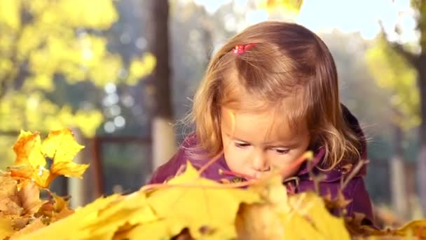 Kleines Kind spielt im Herbstpark.Baby spielt mit gelben Blätter.kleines Mädchen im Freien im Herbstpark.Portrait eines Babys im Herbstpark. — Stockvideo