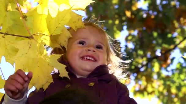 Sonbahar parkta oynayan küçük çocuk. Sarı ile oynayan bebek bırakır. Sonbahar park açık havada, küçük kız. Sonbahar Park bebek portresi. — Stok video