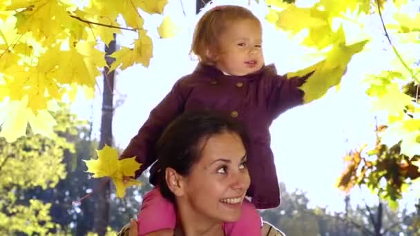 Mamma med en baby i höst park. Mamma går med barnet i höst skogen. Familjen promenad i naturen under hösten. Helgen utomhus i skogen. — Stockvideo