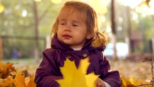 Маленька дитина грає в осінньому парку.Дитина грає з жовтим листям. Маленька дівчинка на відкритому повітрі в осінньому парку. Портрет дитини в осінньому парку . — стокове відео