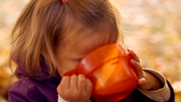 Dítě pije čaj v podzimním parku. Malé dítě je pití čaje v přírodě. Malá holka pije čaj s emocionálně hrnky. Podzimní piknik. Detail dětské emoce. — Stock video