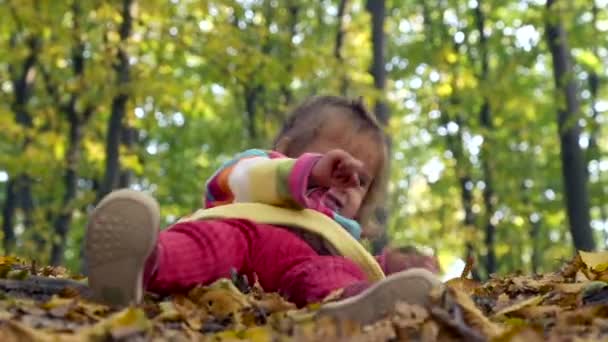 Маленька дитина грає в осінньому парку.Дитина грає з жовтим листям. Маленька дівчинка на відкритому повітрі в осінньому парку. Портрет дитини в осінньому парку . — стокове відео
