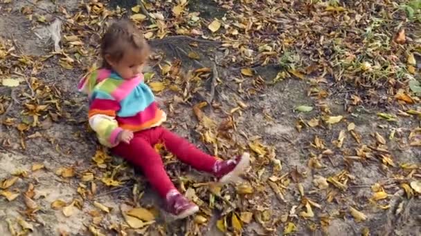 Маленький ребенок, играющий осенью. Младенец, играющий с желтыми рыльцами. . — стоковое видео
