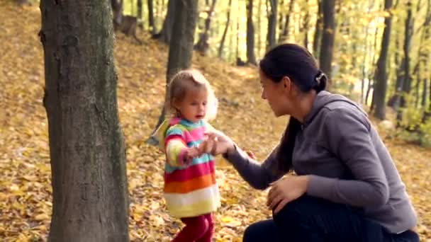 妈妈抱着婴儿秋季公园。妈妈带孩子在秋天的树林。在自然中秋天的家人出去走走。在户外在树林里的周末. — 图库视频影像