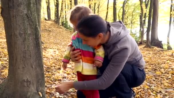 Mãe com um bebê no parque de Outono.Mãe caminha com a criança na floresta de Outono.Caminhada familiar na natureza no outono.Fim de semana ao ar livre na floresta . — Vídeo de Stock