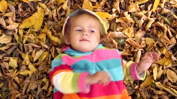 Niño pequeño jugando en el parque otoñal.Bebé jugando con hojas amarillas.Niña al aire libre en el parque otoñal.Retrato de un bebé en el parque otoñal . — Vídeo de stock