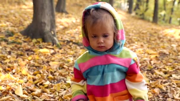 秋の公園で遊ぶ小さい子。黄色で遊んで赤ちゃんを残します。秋の公園で野外少女。秋の公園で赤ちゃんの肖像画. — ストック動画