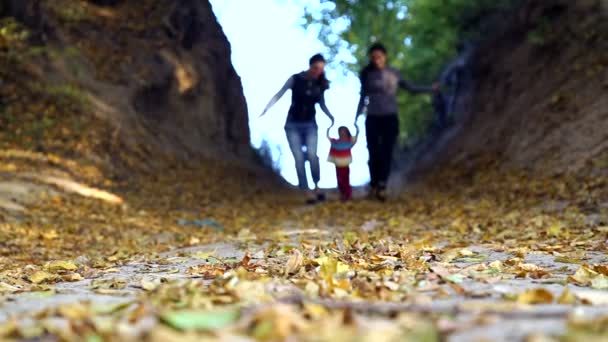 Mamá con un bebé en el parque otoñal.Mamá camina con el niño en el bosque otoñal.Caminata familiar en la naturaleza en otoño.Fin de semana al aire libre en el bosque . — Vídeos de Stock