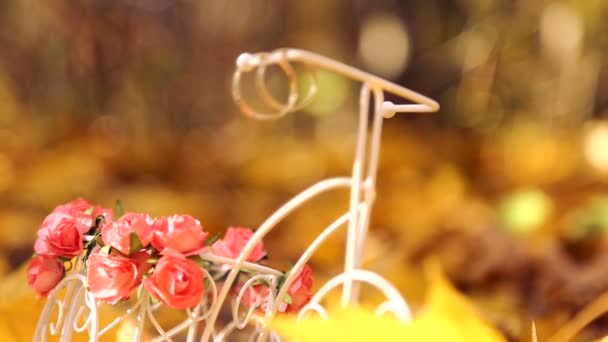 Anéis de casamento em uma bicicleta pequena decorativa nas folhas amarelas no parque de outono . — Vídeo de Stock