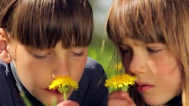 Çimlere yatan genç bir çocuk portresi. Avrupalılar bir çayır çiçek, karahindiba kokulu yeşil çimen çocuklar. Childs rahatlatıcı bir alan içinde ilkbahar, yaz.