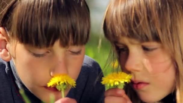 Πορτρέτο του ένα έφηβα αγόρια που βρίσκονται στο γρασίδι. Οι Ευρωπαίοι αγόρια σε ένα λιβάδι του πράσινο γρασίδι μυρίζοντας ένα λουλούδι, πικραλίδα. Childs χαλαρώνοντας σε ένα πεδίο άνοιξη, καλοκαίρι. — Αρχείο Βίντεο