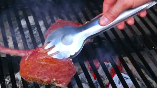 신선한 양고기 갈비, 숯불 구이. 고기 석쇠에 요리는. 화재에 양고기를 요리 하는 과정입니다. 음식, 그릴, 고기. — 비디오