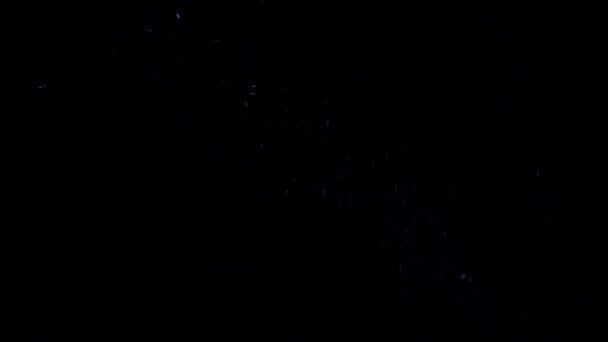 Poussière dans le rayon de lumière. De petites particules dans le faisceau lumineux qui brille. Motes lumineux sur un fond noir. Macro, gros plan .