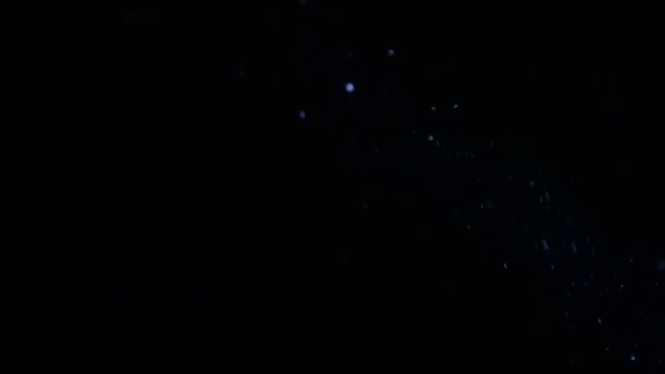 Poussière dans le rayon de lumière. De petites particules dans le faisceau lumineux qui brille. Motes lumineux sur un fond noir. Macro, gros plan .