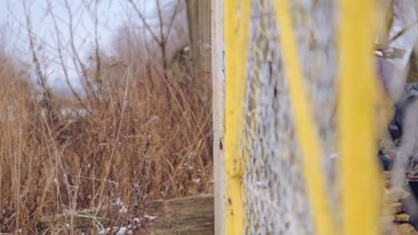 Caucasian boy at an abandoned farm in the winter. The child is a teenager walking on the old farm. Portrait of a boy, close-up through the bars of the fence. — Stock Video