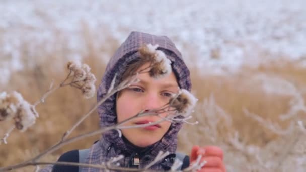 El niño está estudiando la vida silvestre en invierno. Guardabosques caucásicos e inquisitivos. Retrato de cerca del niño en la naturaleza en invierno . — Vídeos de Stock